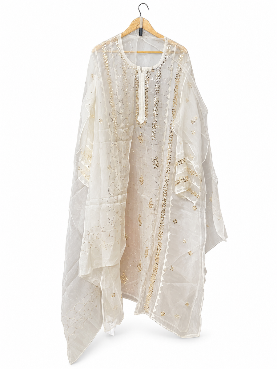 Cream Organza with Mukaish and Chikankari by Aurunii, product AU-NC-005 on a white background
